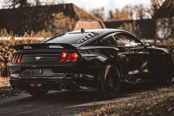 Bizz Kasino Android/iOS Aplikácia